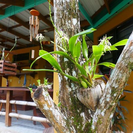 Riverhill Hideaway Monkey Fall Exterior foto