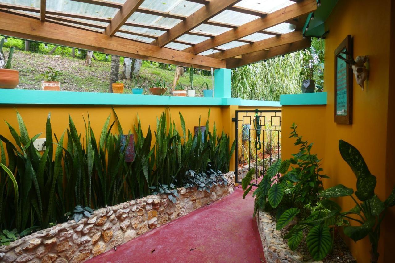 Riverhill Hideaway Monkey Fall Exterior foto