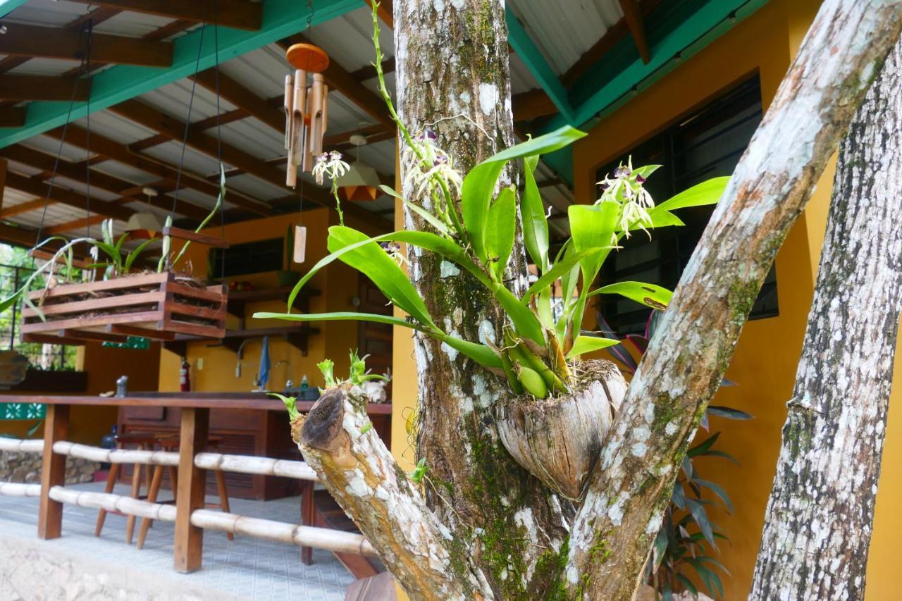 Riverhill Hideaway Monkey Fall Exterior foto