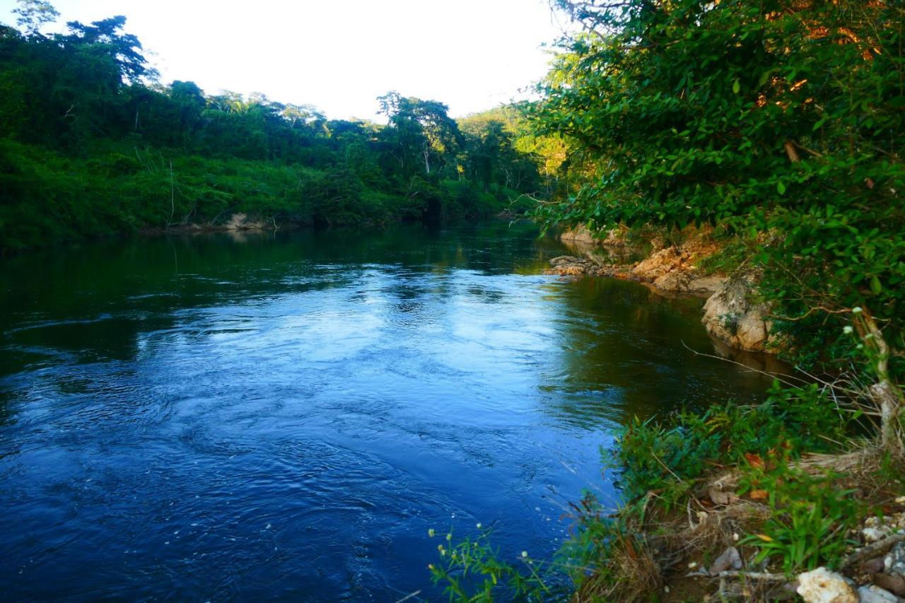 Riverhill Hideaway Monkey Fall Exterior foto