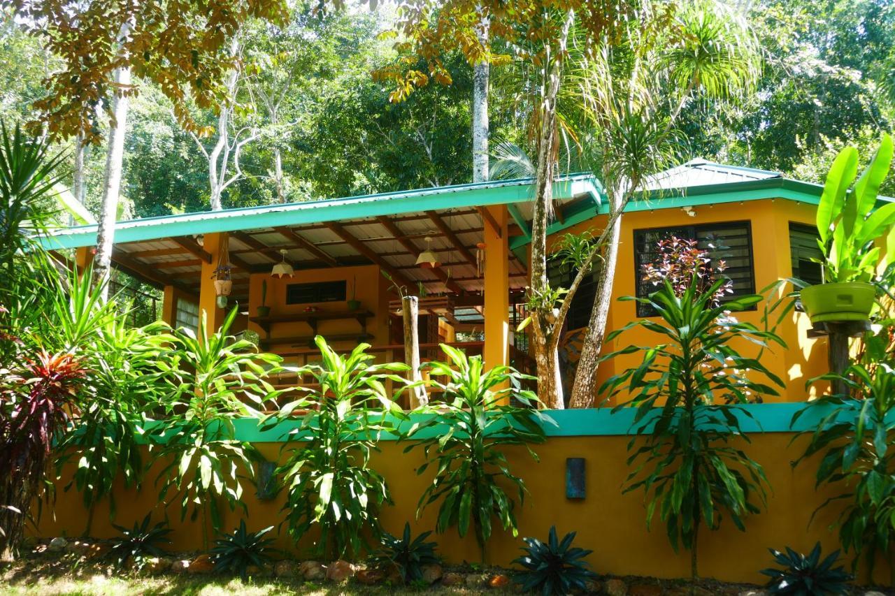 Riverhill Hideaway Monkey Fall Exterior foto