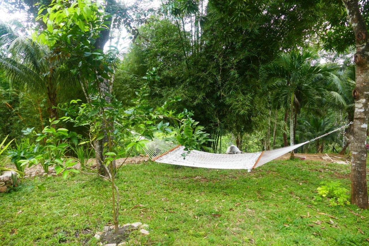 Riverhill Hideaway Monkey Fall Exterior foto