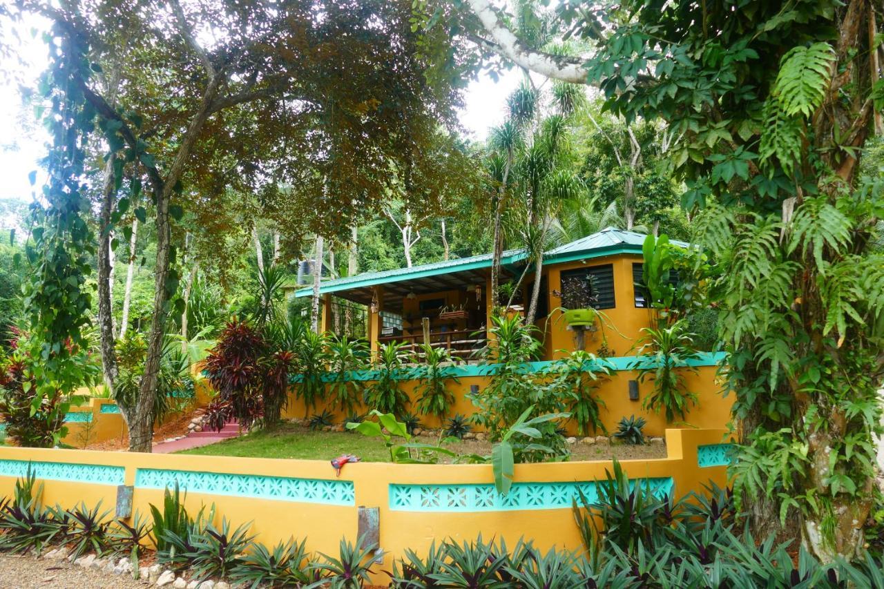 Riverhill Hideaway Monkey Fall Exterior foto
